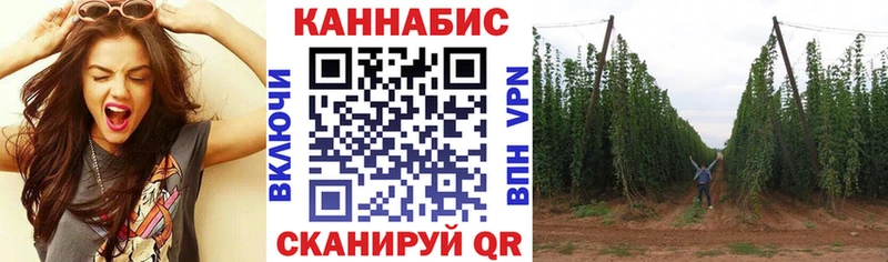 Купить наркотики цена Курчатов Каннабис  NBOMe  СОЛЬ  Меф  ГАШ  КОКАИН 